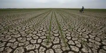 Parched agricultural field showing severe drought impact on U.S. crops in 2026.
